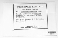 Image Associated With the Occurence